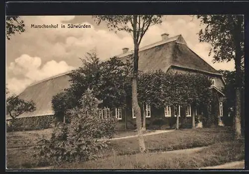 AK Sürwürden, Marschenhof, Gebäudeansicht