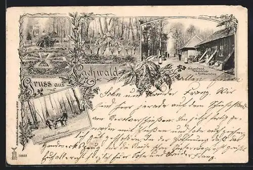 AK Lachwald, Restaurant, Wachstube und Schiessstand, Denkmal-Gruppe, Kaiser-Gruppe