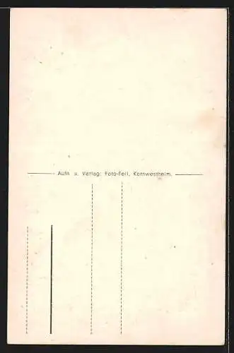 AK Stuttgart, Marienhospital St. Ludovika mit Terrassengarten