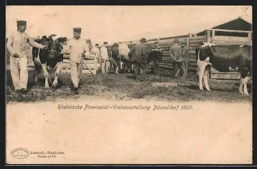 AK Düsseldorf, Rheinische Provinzial-Viehausstellung 1902