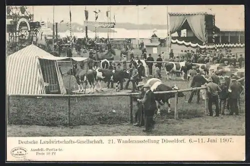 AK Düsseldorf, 21. Wanderausstellung der Deutschen Landwirtschafts-Gesellschaft 1907