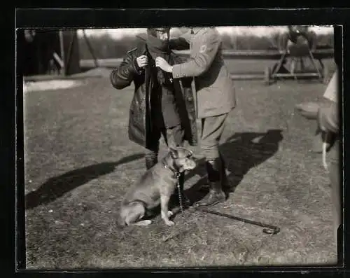 Fotografie 1.WK, Flieger-Abteilung 58, Flugzeug-Pilot wird startbereit gemacht, Bodenpersonal mit Diensthund