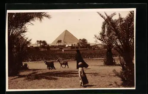 Fotografie unbekannter Fotograf, Ansicht Giseh / Ägypten, Blick zu den Pyramiden
