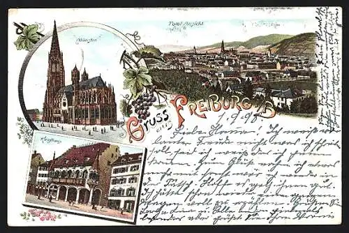 Lithographie Freiburg i / B., Kaufhaus, Münster, Totalansicht