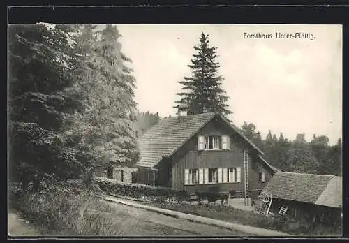 AK Bühl / Baden, Blick zum Forsthaus Unter-Plättig