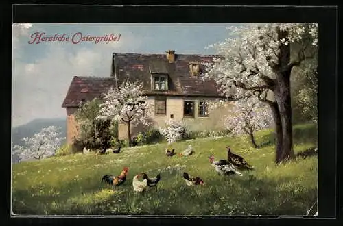Künstler-AK Alfred Schönian: Hühner auf der Frühlingswiese