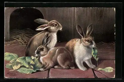 Künstler-AK Alfred Schönian: Hasen beim Essen