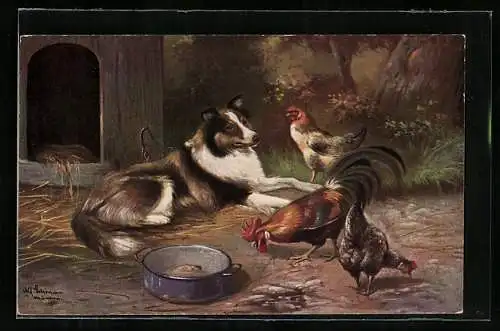 Künstler-AK Alfred Schönian: Hühner picken Körner unter Bewachung eines Collies