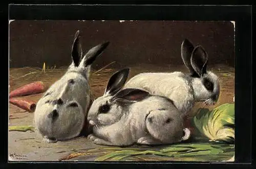 Künstler-AK Alfred Schönian: Drei Kaninchen im Stroh