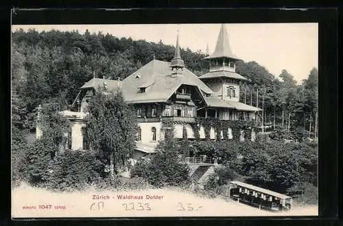 AK Zürich, Motiv vom Waldhaus Dodler