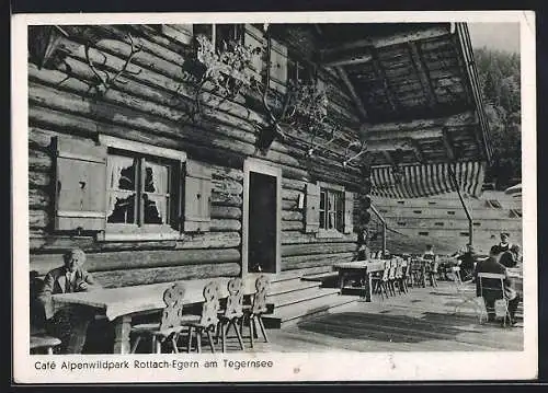 AK Rottach-Egern am Tegernsee, Terrasse des Cafés Alpenwildpark