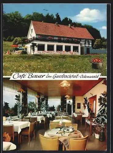 AK Hammelbach / Odenwald, Cafe Bauer, Innen- und Aussen