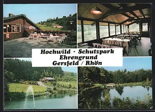 AK Gersfeld /Rhön, Ausflugsgaststätte Wildpark-Terrassen im Hochwild-Schutzpark Ehrengrund