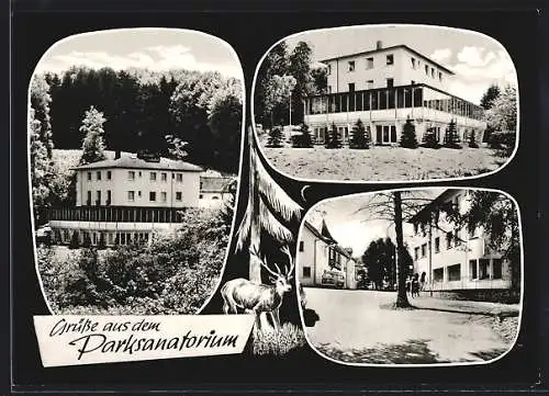 AK Braunfels-Leun, Das Parksanatorium, Strassenpartie
