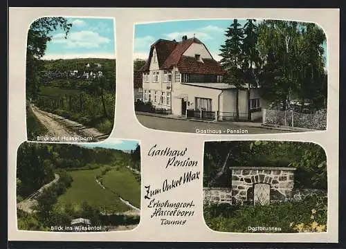 AK Hasselborn /Taunus, Gasthaus-Pension Zum Onkel Max, Wiesental, Dorfbrunnen, Ortsansicht