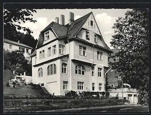 AK Bad Hersfeld, Pension Haus Viola, Am Weinberg 7, Inh. Elisabeth Thierauf