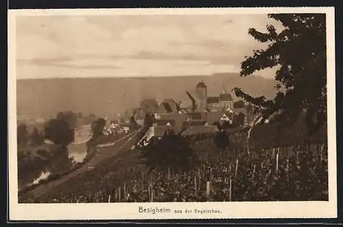 AK Besigheim, Ortsansicht aus der Vogelschau