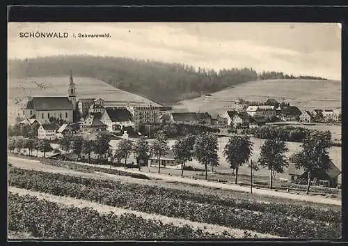 AK Schönwald /Schwarzw., Ortsansicht mit Feldern und Strasse