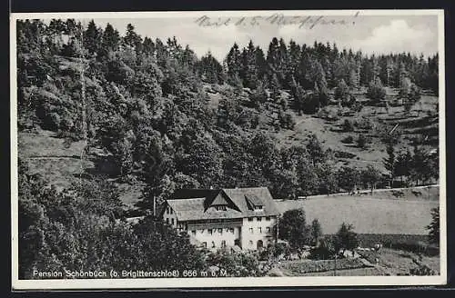 AK Sasbachwalden, Gasthaus Schönbüch