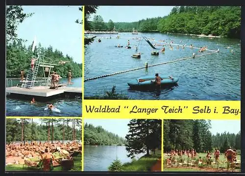 AK Selb i. Bay., Szenen aus dem Waldbad Langer Teich zur Hochsaison