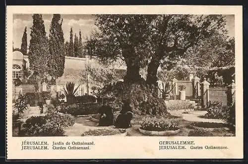 AK Jerusalem, Der Garten Gethsemane