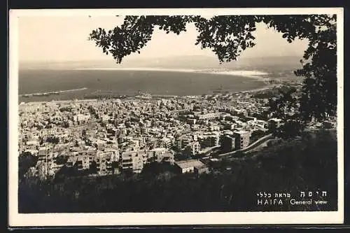 AK Haifa, General view from the Mount