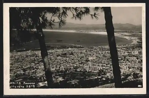 AK Haifa, Ortspanorama vom Berg aus gesehen