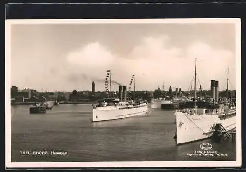 AK Trelleborg, Hamnparti, Dampfer liegen im Hafen