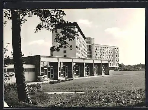 AK Klink / Müritz, FDGB-Ferienobjekt & Erholungsheim Herbert Warnke