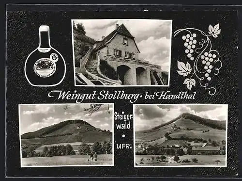 AK Handthal / Steigerwald, Weingut Stollburg, Totalansichten