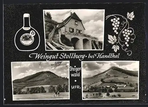 AK Handthal / Steigerwald, Weingut Stollburg, Totalansichten