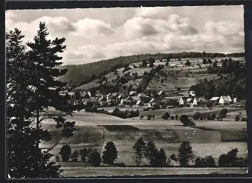 AK Neuschleichach / Ufr., Panorama