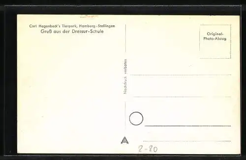 AK Hamburg-Stellingen, Hagenbeck`s Tierpark, Dressur Schule