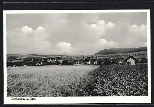 AK Herrhausen a. Harz, Ortspanorama von einem Acker aus
