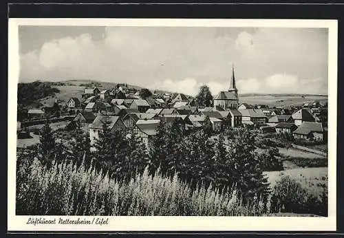 AK Nettersheim /Eifel, Ortsansicht aus der Vogelschau