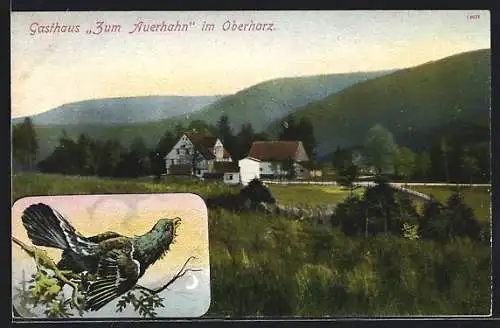 AK Hahnenklee, Gasthaus zum Auerhahn