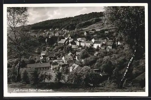 AK Dahle /Sauerland, Teilansicht mit Kirche