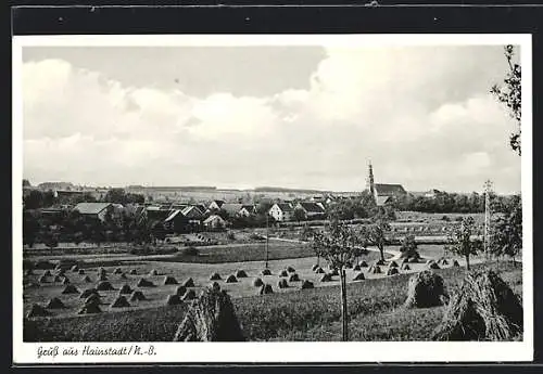 AK Hainstadt /N.-B., Blick auf Ort mit Heuhaufen