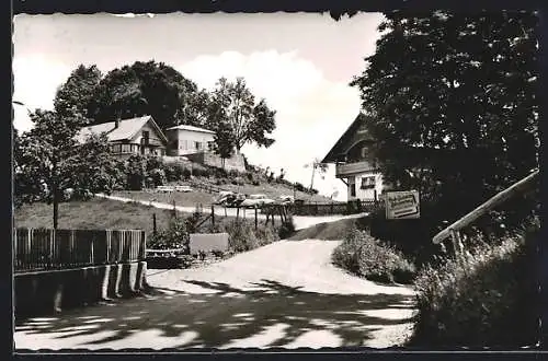 AK Scheidegg /Allg., Weg zum Gasthaus Blasenberg