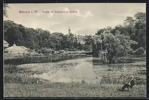 AK Münster i. W., Partie im Botanischen Garten