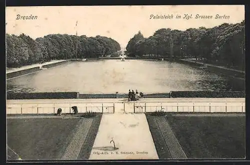 AK Dresden, Palaisteich im Königlichen Grossen Garten