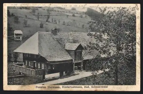 AK Hinter-Todtmoos, Ansicht der Hotel-Pension Hermann