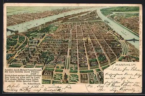 Lithographie Mannheim, Totalansicht