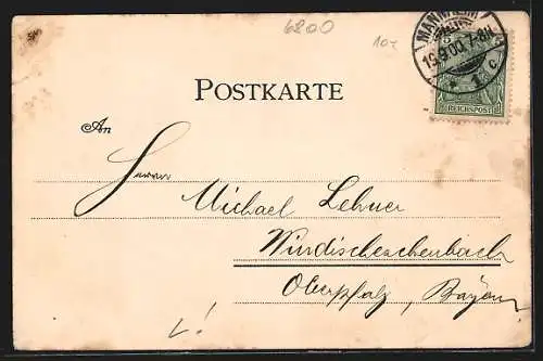 Lithographie Mannheim, Totalansicht