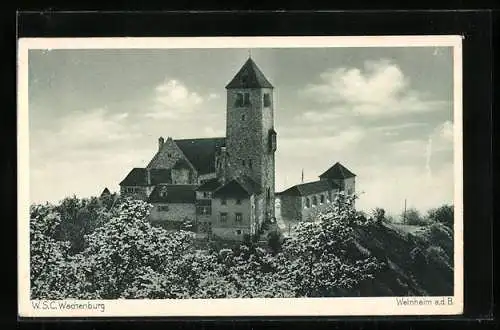 AK Weinheim a. d. B., Wachenburg aus der Vogelschau