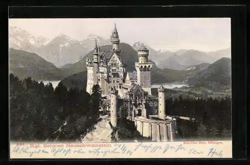 AK Schloss Neuschwanstein, Gesamtansicht mit Gebirgspanorama