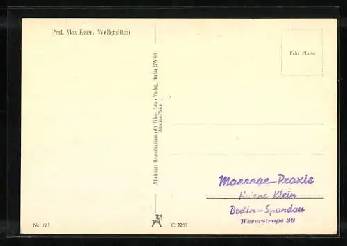 AK Max Esser, Wellensittich