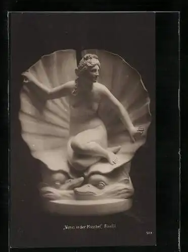 AK Finelli, Venus in der Muschel