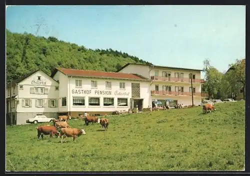 AK Ober-Ostern i. Naturpark Odenwald, Gasthaus und Pension Ostertal mit Kühen
