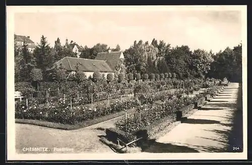 AK Chemnitz, Rosarium